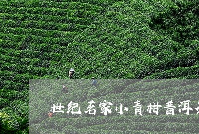 世纪茗家小青柑普洱茶/2023062116481