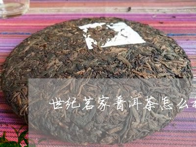 世纪茗家普洱茶怎么样/2023092871493