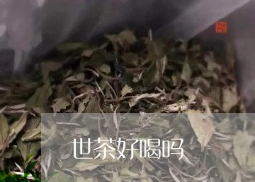 世茶好喝吗/2023090226349