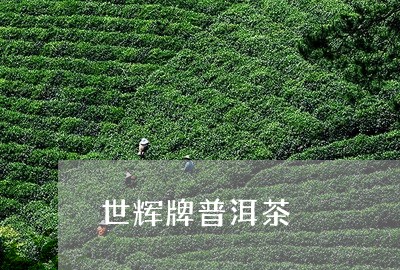 世辉牌普洱茶/2023042544772