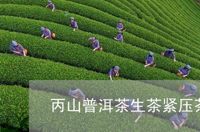 丙山普洱茶生茶紧压茶/2023100724142