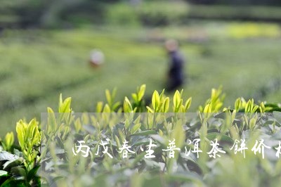 丙戊春生普洱茶饼价格/2023061505970