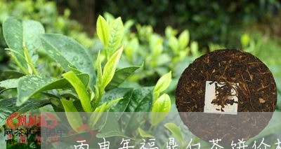 丙申年福鼎白茶饼价格/2023091574947