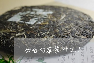 丛台白茶茶叶工厂/2023061474857