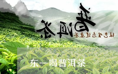 东一喝普洱茶/2023090623825