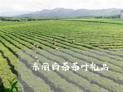 东丽白茶茶叶礼品/2023061451692