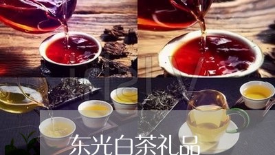 东光白茶礼品/2023051284957