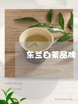 东兰白茶品牌/2023051209613