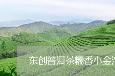 东创普洱茶糯香小金沱/2023061724046