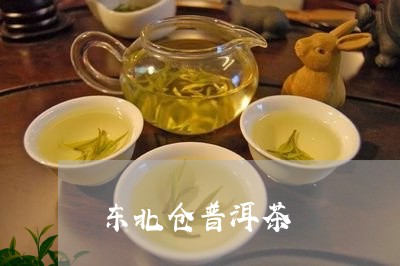 东北仓普洱茶/2023042706625