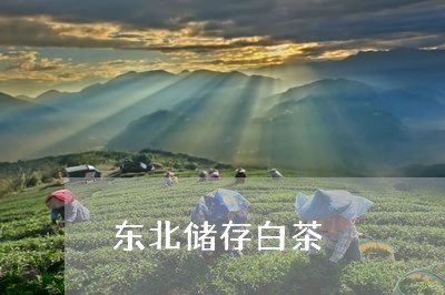 东北储存白茶/2023051281606