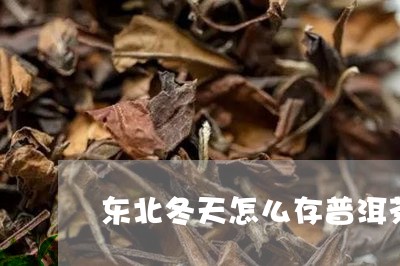 东北冬天怎么存普洱茶/2023080185936