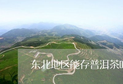 东北地区能存普洱茶吗现在/2023112802607