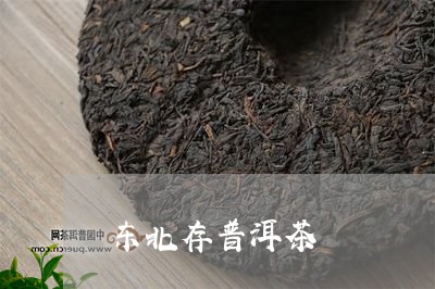 东北存普洱茶/2023042770948