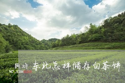 东北怎样储存白茶饼/2023071454273