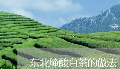 东北腌酸白茶的做法/2023071404847