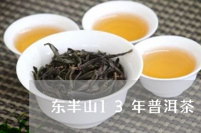 东半山13年普洱茶/2023120590572