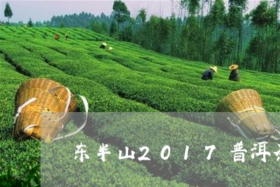 东半山2017普洱茶/2023100792594