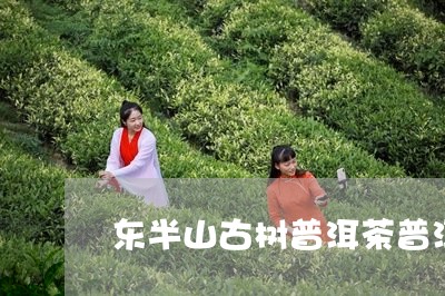 东半山古树普洱茶普洱红茶的特点/2023060206258