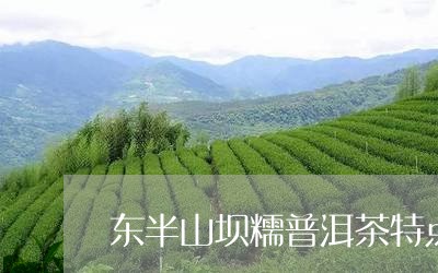 东半山坝糯普洱茶特点/2023062026180