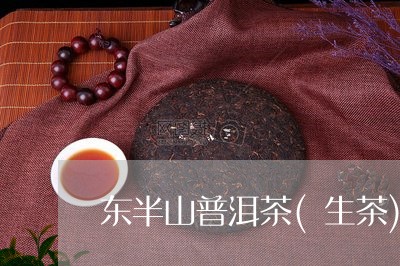 东半山普洱茶(生茶)/2023062813039