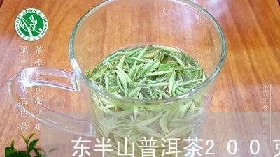 东半山普洱茶200克/2023062534126