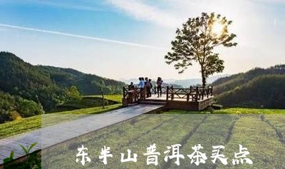 东半山普洱茶买点/2023082853148