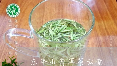 东半山普洱茶云南/2023120471503