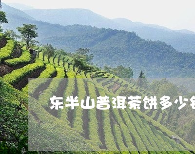 东半山普洱茶饼多少钱/2023120764060