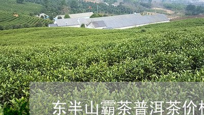 东半山霸茶普洱茶价格/2023100745048