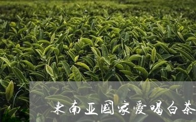 东南亚国家爱喝白茶吗/2023092751504