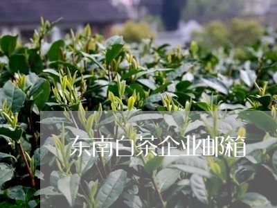 东南白茶企业邮箱/2023061431726