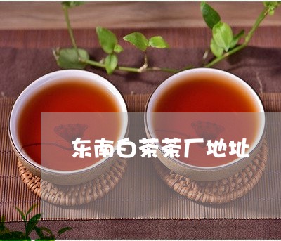 东南白茶茶厂地址/2023061476169