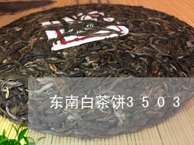 东南白茶饼3503/2023121584936