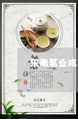 东南茗业陈皮白茶/2023061418460