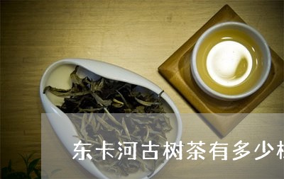 东卡河古树茶有多少株/2023092155058