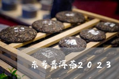 东号普洱茶2023/2023101760494