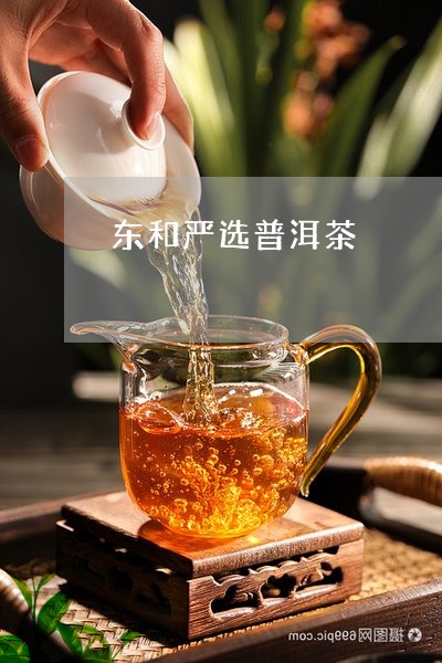 东和严选普洱茶/2023120350580