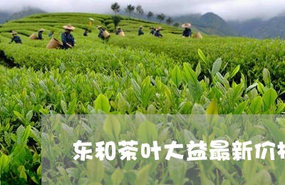 东和茶叶大益最新价格银大益/2023052748151