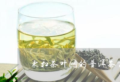 东和茶叶网的普洱茶靠谱么/2024010400373