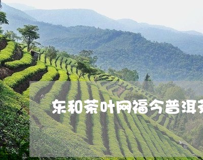 东和茶叶网福今普洱茶/2023061460513