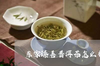 东家臻善普洱茶怎么样/2023092879375