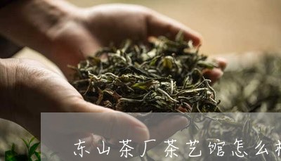 东山茶厂茶艺馆怎么样/2023071527048