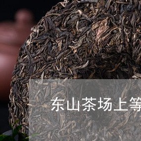 东山茶场上等白茶/2023061471726