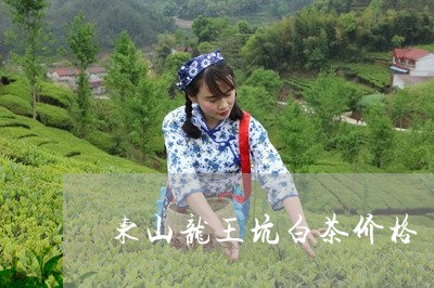 东山龙王坑白茶价格/2023081205928