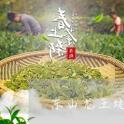 东山龙王坑白茶安徽/2023121691704