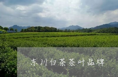 东川白茶茶叶品牌/2023061475738