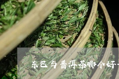 东巴与普洱茶哪个好一点/2023112893960