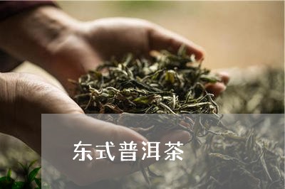 东式普洱茶/2023090626941