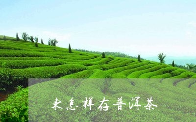 东怎样存普洱茶/2023120414956